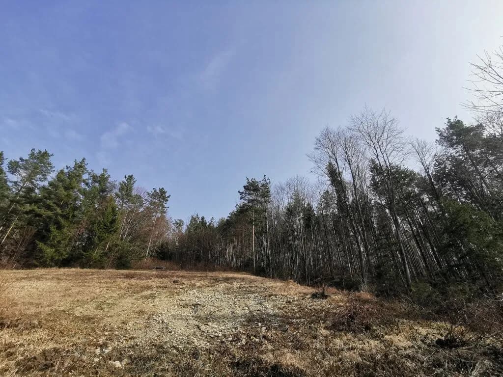 Grundstück kaufen in Wiener Neustadt Land – 1 072 m², € 215.000 – Bild 4 von 4