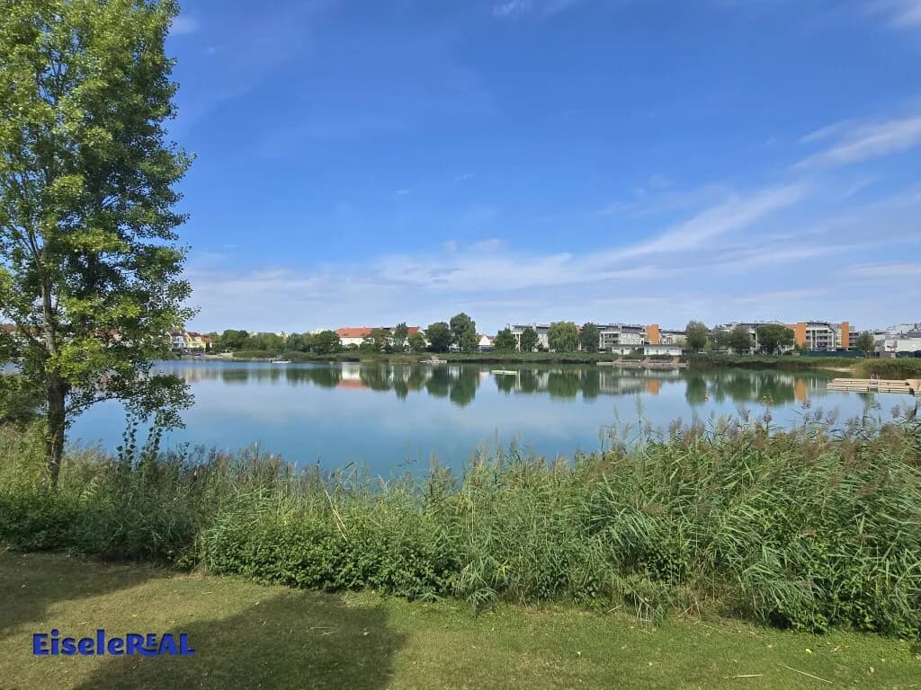10-Zimmer-Immobilie kaufen in Mödling – 311 m², € 1.349.000 – Bild 44 von 51