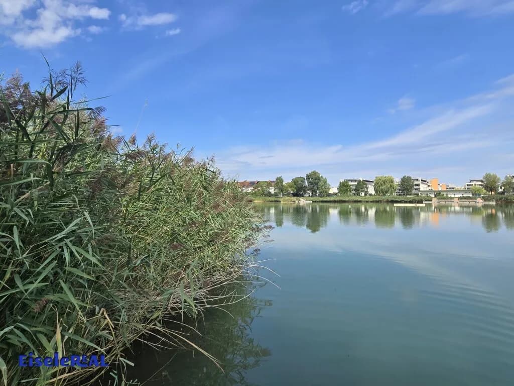 10-Zimmer-Immobilie kaufen in Mödling – 311 m², € 1.349.000 – Bild 49 von 51