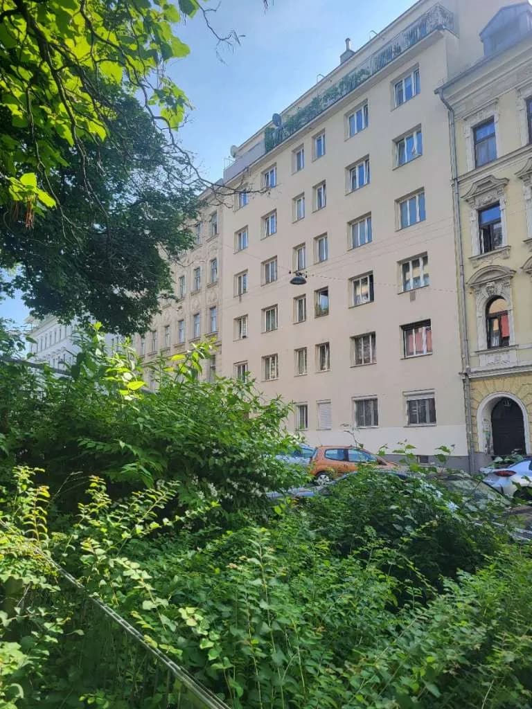 1-Zimmer-Wohnung mieten in Wien – 40 m², € 698 – Bild 3 von 15