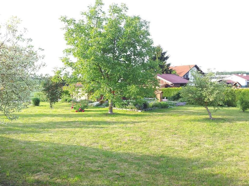 Immobilie mieten in Ried im Innkreis – 700 m², € 18 – Bild 3 von 12