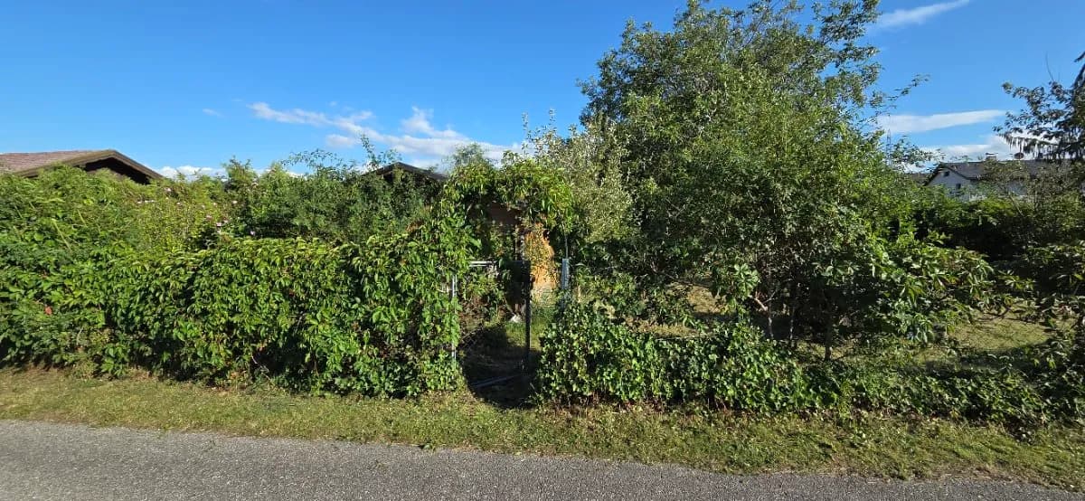 Immobilie mieten in Ried im Innkreis – 700 m², € 18 – Bild 6 von 12