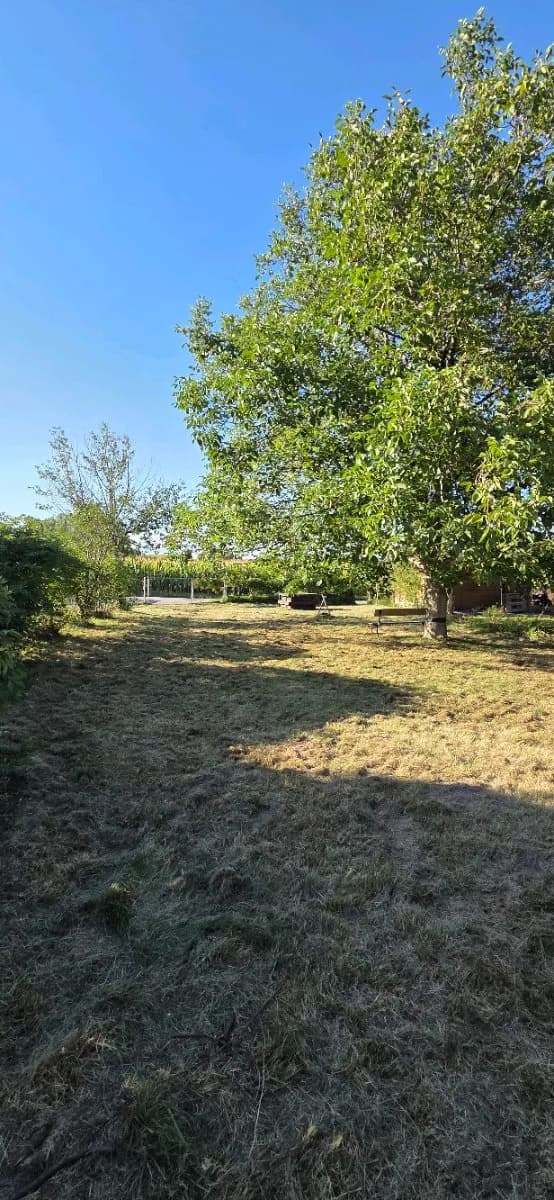 Immobilie mieten in Ried im Innkreis – 700 m², € 18 – Bild 8 von 12