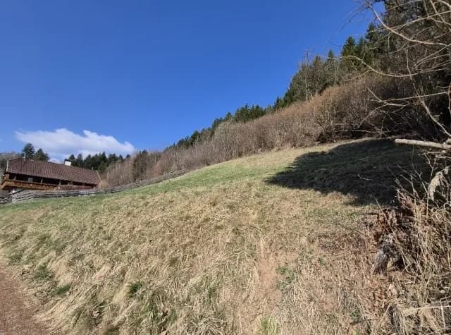 Grundstück kaufen in Spittal an der Drau – 1 680 m², € 125.990 – Bild 4 von 4
