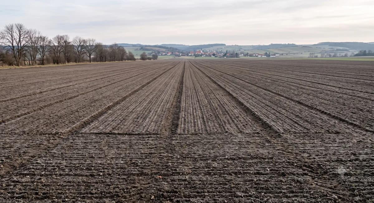 Grundstück kaufen in Mistelbach – 12 006 m² – Bild 5 von 15