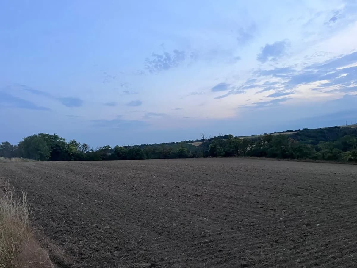 Grundstück kaufen in Mistelbach – 11 886 m² – Bild 10 von 16