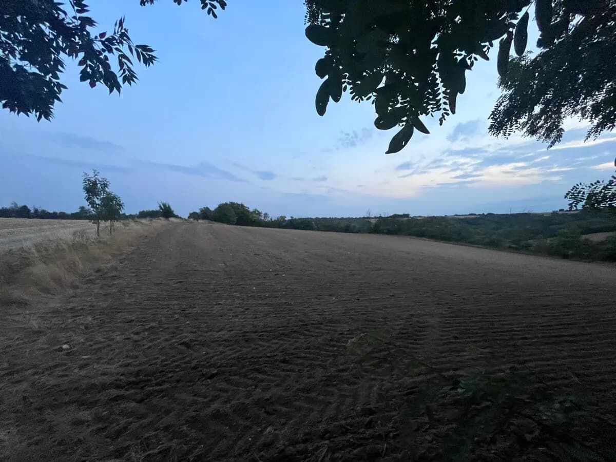 Grundstück kaufen in Mistelbach – 11 886 m² – Bild 11 von 16
