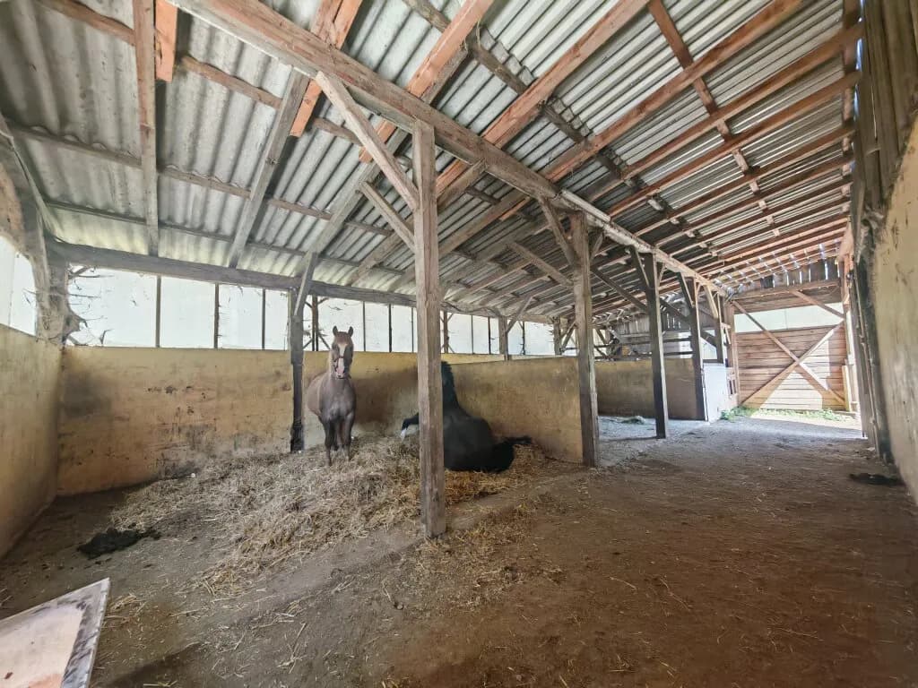 5-Zimmer-Immobilie kaufen in Krems Land – 227 m², € 675.000 – Bild 7 von 8