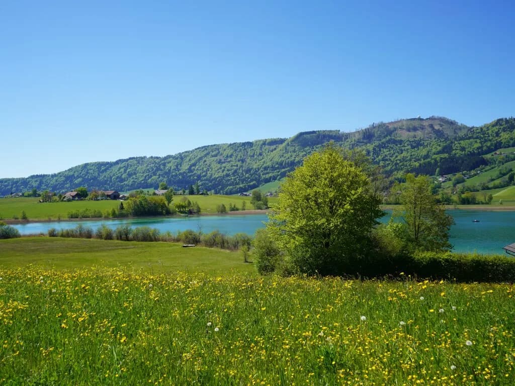 5-Zimmer-Haus kaufen in Salzburg-Umgebung – 72,63 m², € 310.000 – Bild 21 von 24