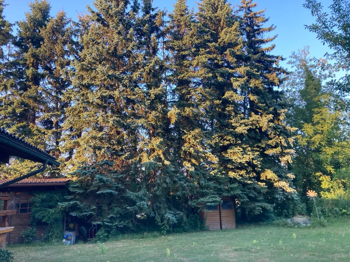 Haus kaufen in Wiener Neustadt Land – 74 m², € 345.000 – Bild 9 von 23
