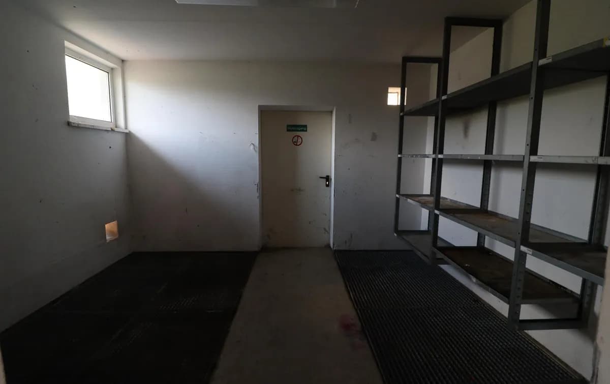 Gewerbeimmobilie mieten in Perg – 1 377 m², € 1.500 – Bild 3 von 4