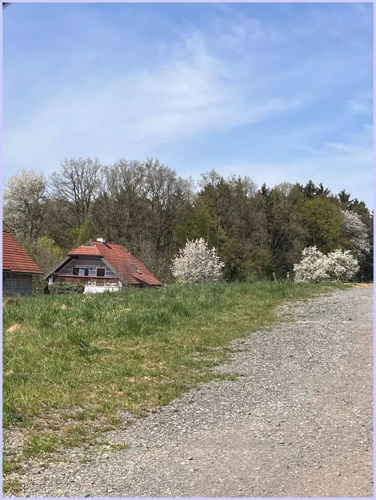 Grundstück kaufen in Südoststeiermark – 920 m², € 89.000 – Bild 5 von 14