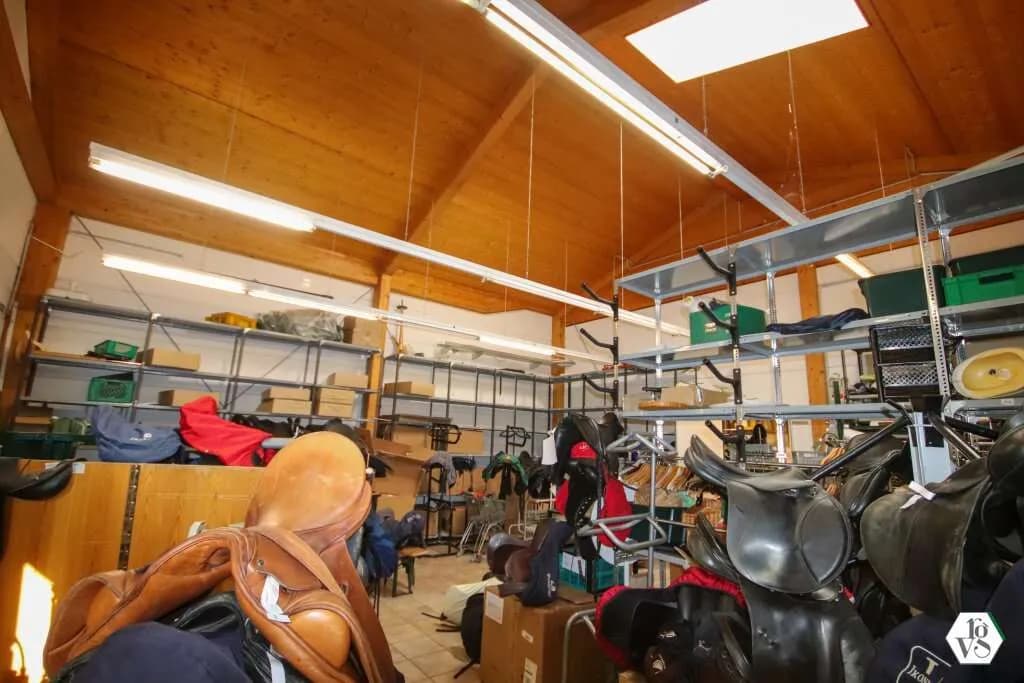 Immobilie kaufen in Baden – 550 m², € 1.500.000 – Bild 6 von 12