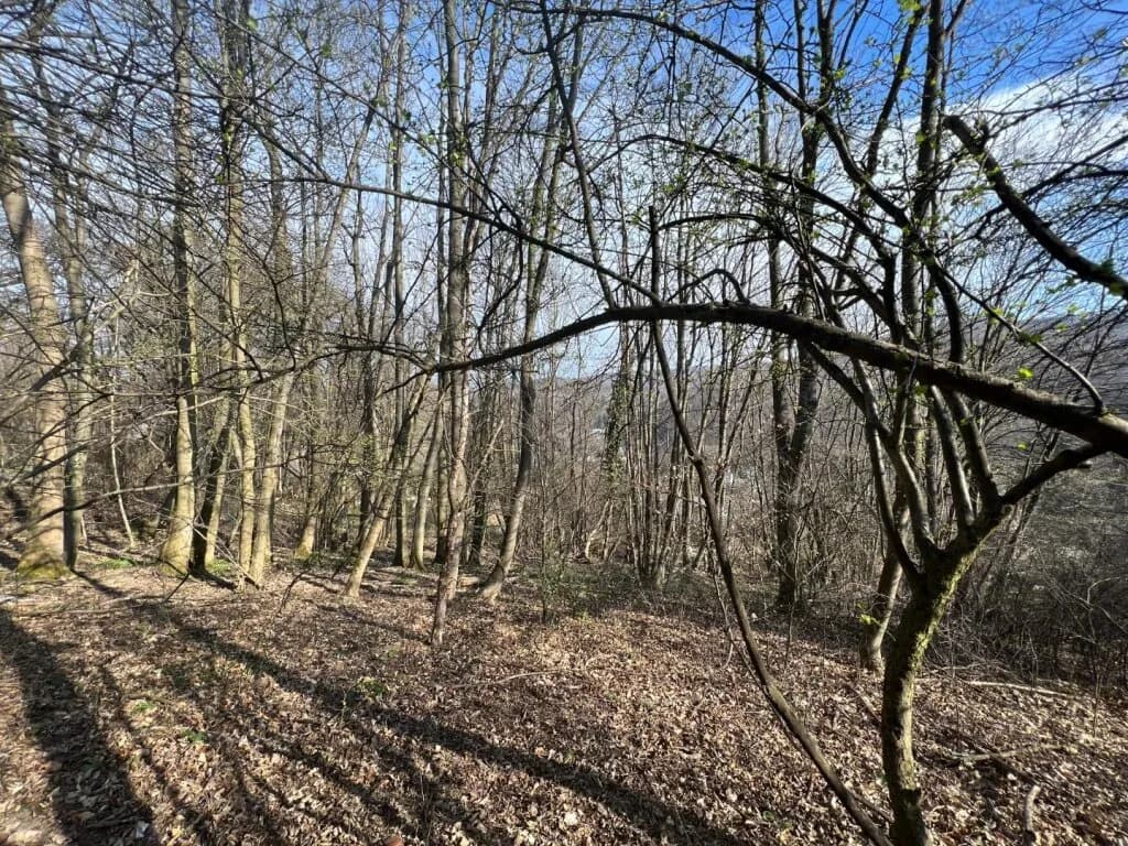 Grundstück kaufen in Wien – 2 976 m², € 1.299.000 – Bild 2 von 12