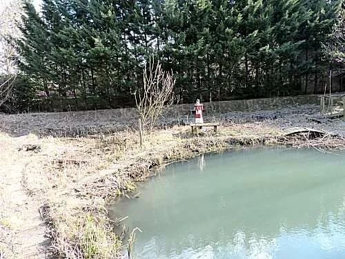 Immobilie kaufen in Sankt Pölten Land – 1 300 m², € 275 – Bild 6 von 11