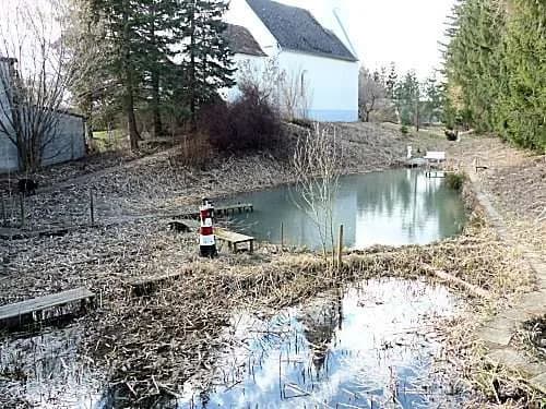 Immobilie kaufen in Sankt Pölten Land – 1 300 m², € 275 – Bild 7 von 11