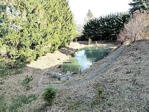 Immobilie kaufen in Sankt Pölten Land – 1 300 m², € 275 – Bild 9 von 11