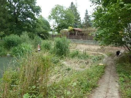 Immobilie kaufen in Sankt Pölten Land – 1 300 m², € 275 – Bild 10 von 11
