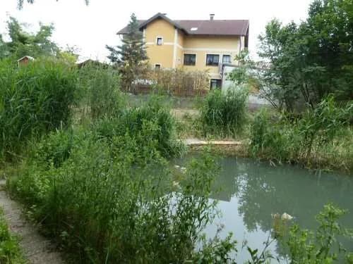 Immobilie kaufen in Sankt Pölten Land – 1 300 m², € 275 – Bild 11 von 11