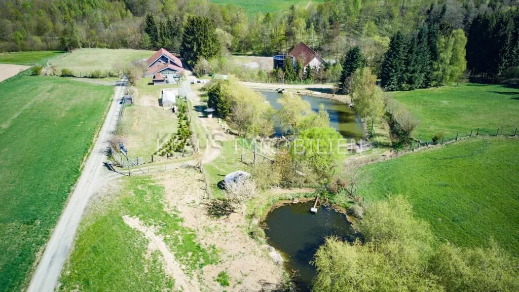 Immobilie kaufen in Zwettl – 328 m², € 599.000 – Bild 9 von 30