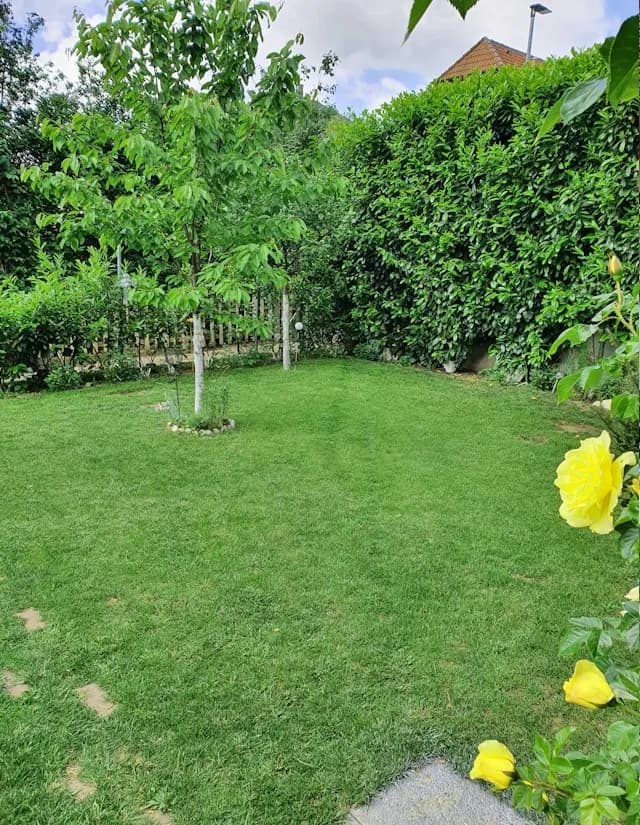 2-Zimmer-Wohnung mieten in Hollabrunn – 51 m², € 474 – Bild 2 von 11
