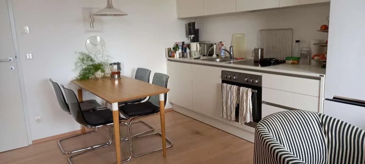 2-Zimmer-Wohnung mieten in Wien – 41 m², € 2.000 – Bild 3 von 11