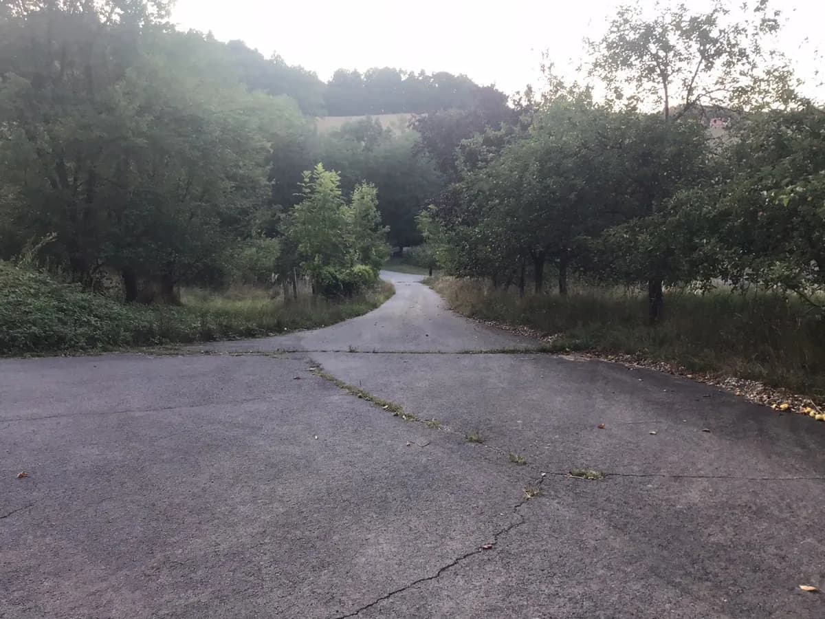 5-Zimmer-Haus mieten in Südoststeiermark – 310 m², € 2.000 – Bild 1 von 10
