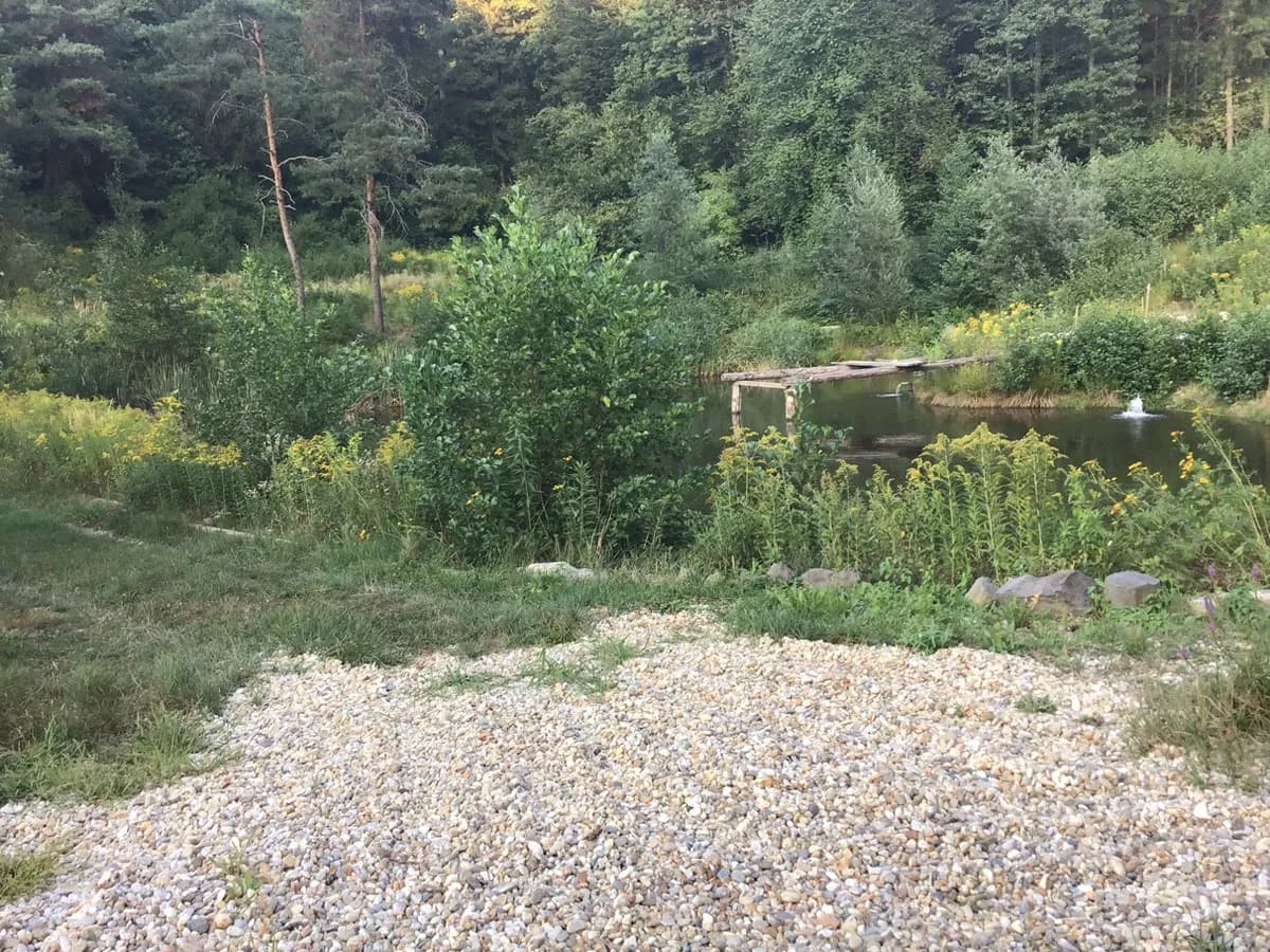 5-Zimmer-Haus mieten in Südoststeiermark – 310 m², € 2.000 – Bild 3 von 10