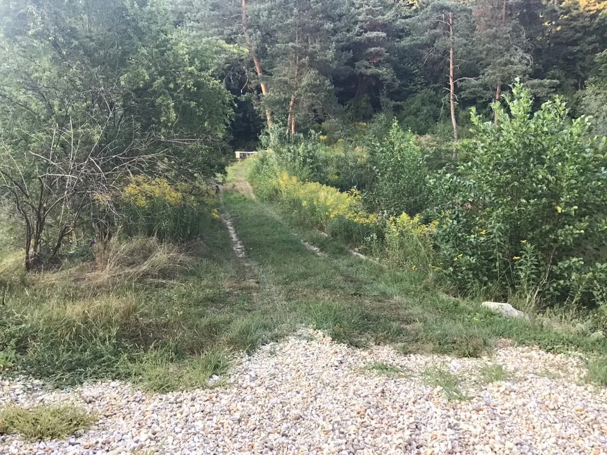 5-Zimmer-Haus mieten in Südoststeiermark – 310 m², € 2.000 – Bild 4 von 10