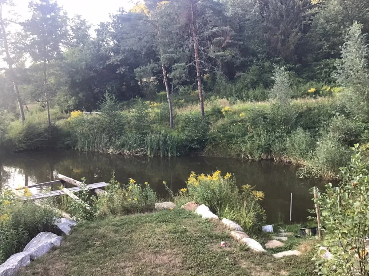 5-Zimmer-Haus mieten in Südoststeiermark – 310 m², € 2.000 – Bild 6 von 10