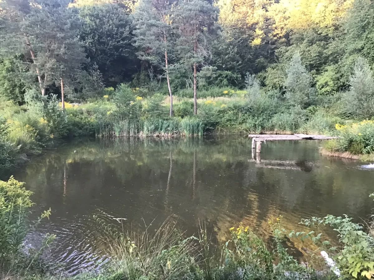 5-Zimmer-Haus mieten in Südoststeiermark – 310 m², € 2.000 – Bild 7 von 10