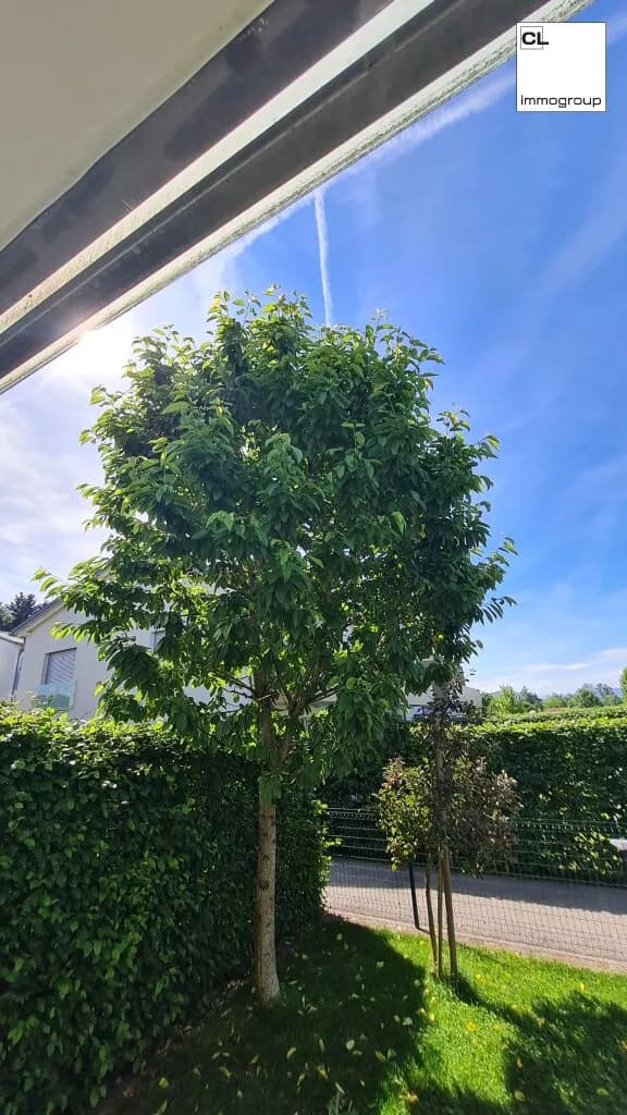 2-Zimmer-Wohnung mieten in Vöcklabruck – 59 m², € 1.250 – Bild 9 von 9