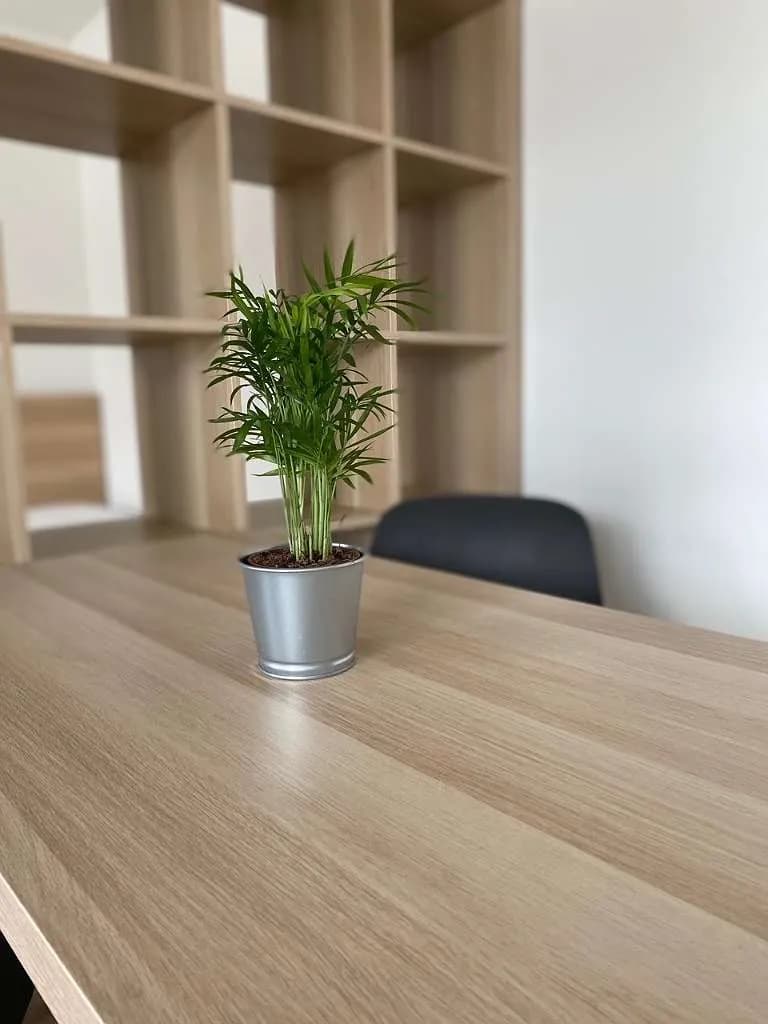 1-Zimmer-Wohnung mieten in Salzburg Stadt – 35 m², € 870 – Bild 15 von 25