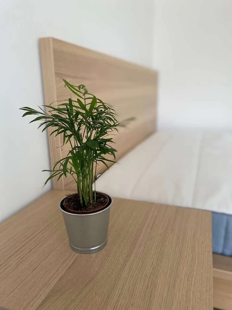 1-Zimmer-Wohnung mieten in Salzburg Stadt – 35 m², € 870 – Bild 18 von 25