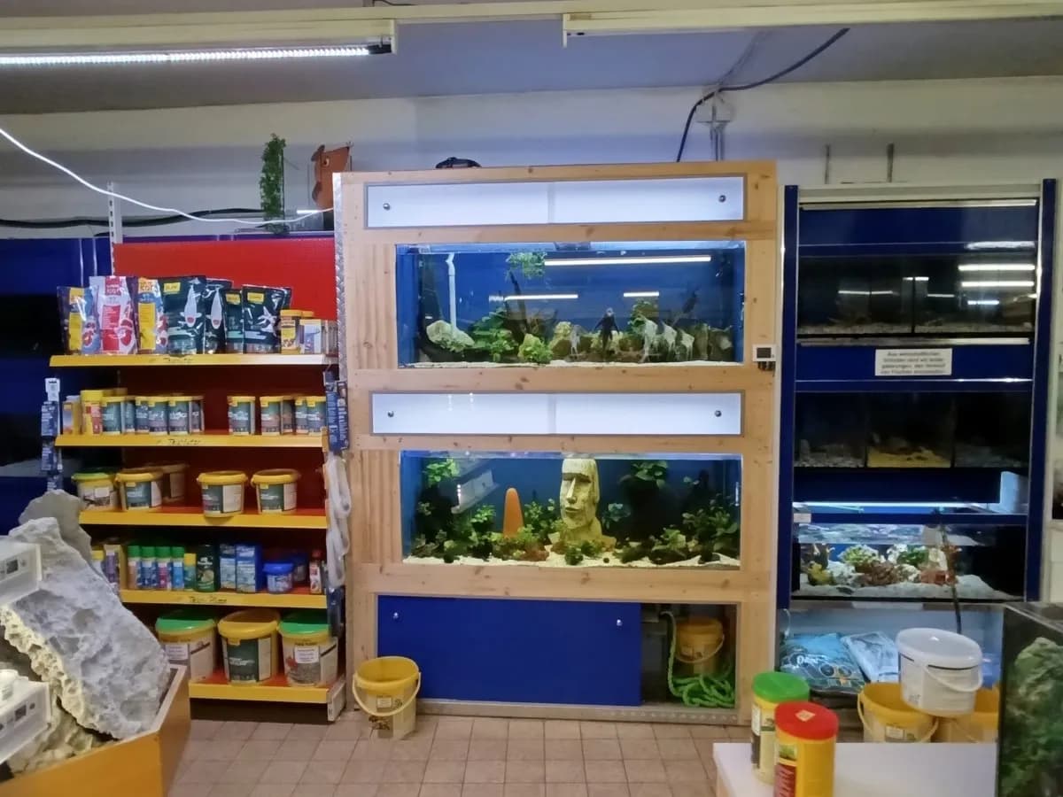 Gewerbeimmobilie mieten in Zwettl – 250 m², € 1.000 – Bild 2 von 10