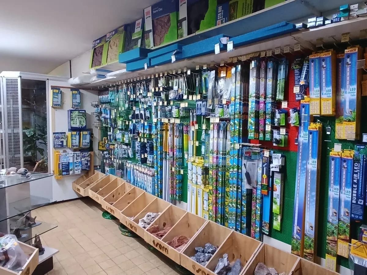Gewerbeimmobilie mieten in Zwettl – 250 m², € 1.000 – Bild 3 von 10