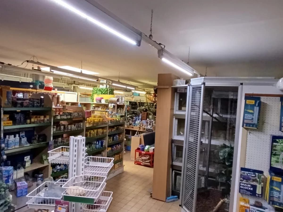 Gewerbeimmobilie mieten in Zwettl – 250 m², € 1.000 – Bild 4 von 10
