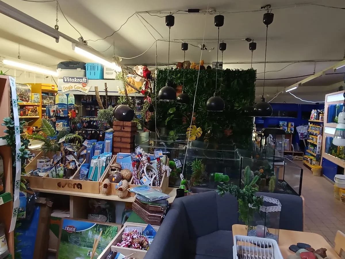 Gewerbeimmobilie mieten in Zwettl – 250 m², € 1.000 – Bild 5 von 10