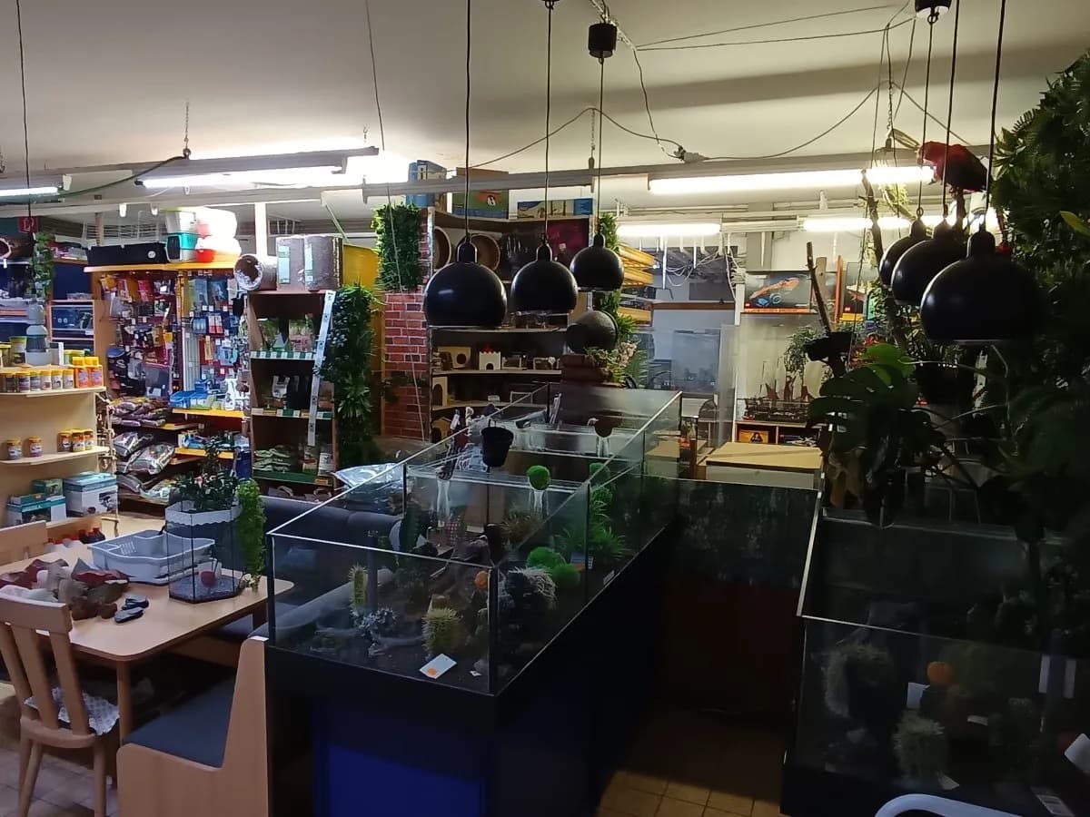 Gewerbeimmobilie mieten in Zwettl – 250 m², € 1.000 – Bild 6 von 10