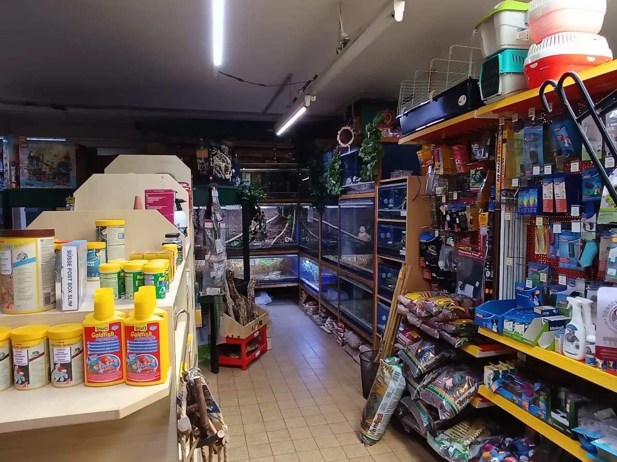 Gewerbeimmobilie mieten in Zwettl – 250 m², € 1.000 – Bild 7 von 10