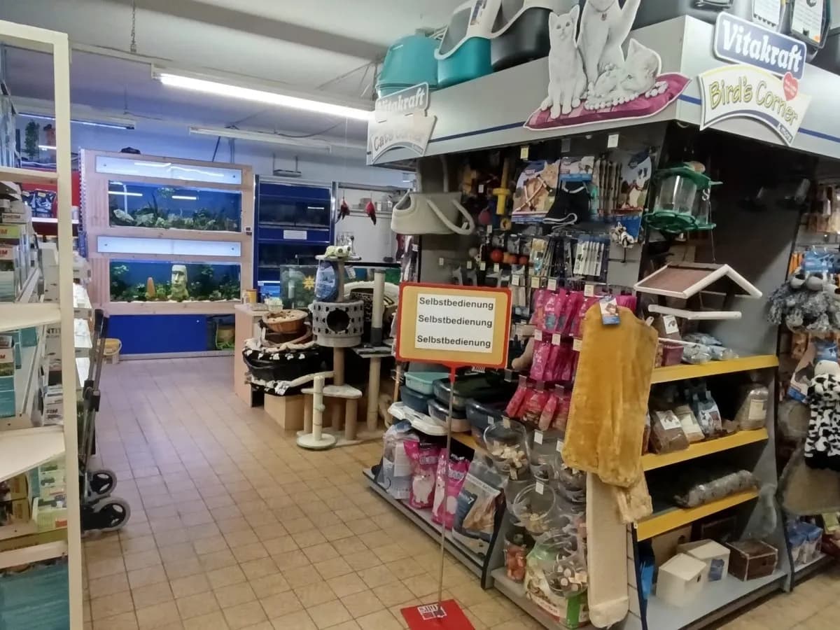 Gewerbeimmobilie mieten in Zwettl – 250 m², € 1.000 – Bild 8 von 10