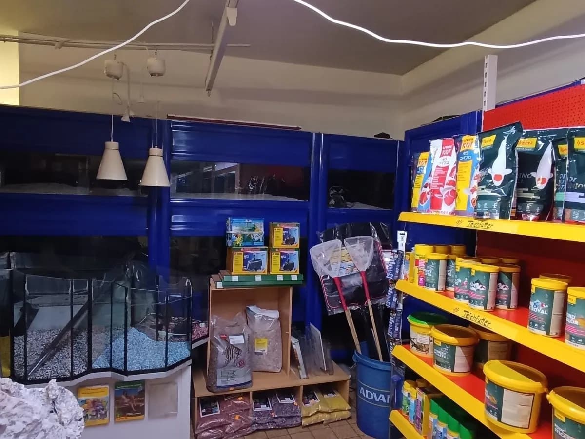Gewerbeimmobilie mieten in Zwettl – 250 m², € 1.000 – Bild 9 von 10