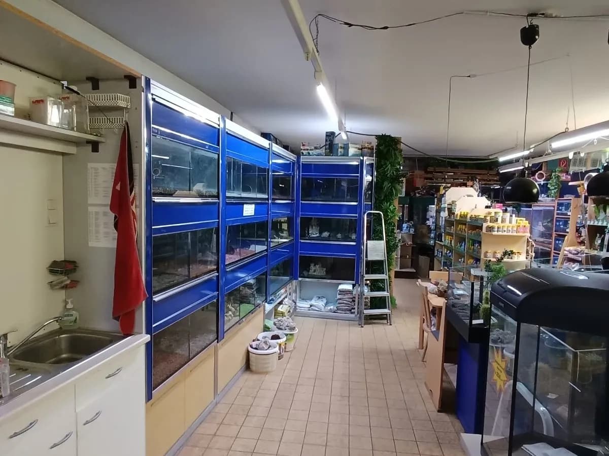 Gewerbeimmobilie mieten in Zwettl – 250 m², € 1.000 – Bild 10 von 10