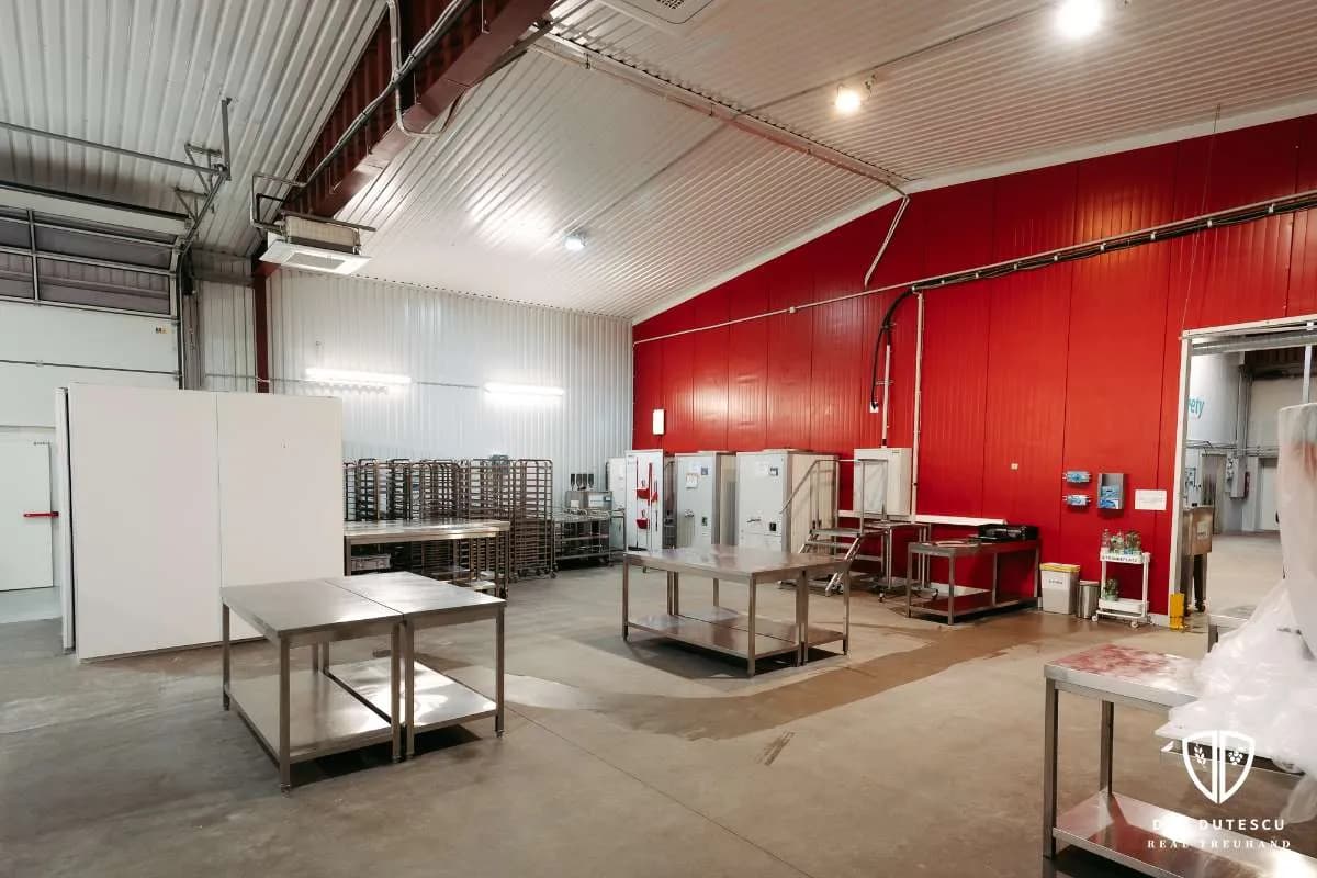 Gewerbeimmobilie kaufen in Linz Land – 1 654 m², € 2.350.000