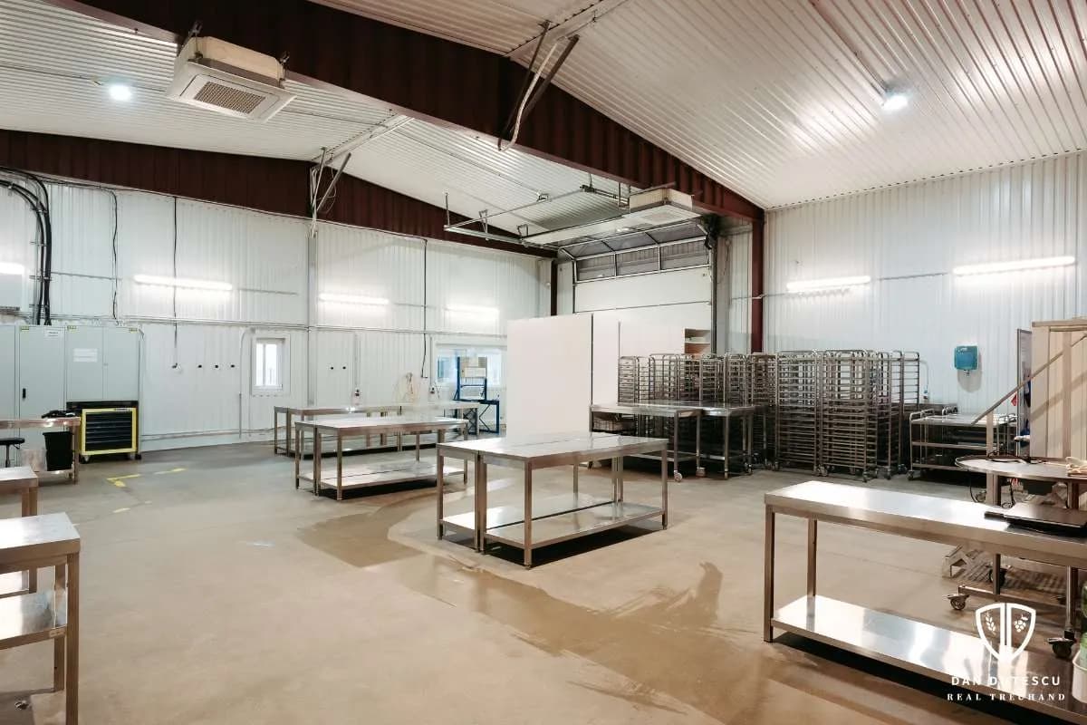 Gewerbeimmobilie kaufen in Linz Land – 1 654 m², € 2.350.000 – Bild 6 von 16