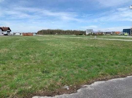 Immobilie mieten in Linz Land – 22 502 m² – Bild 2 von 6