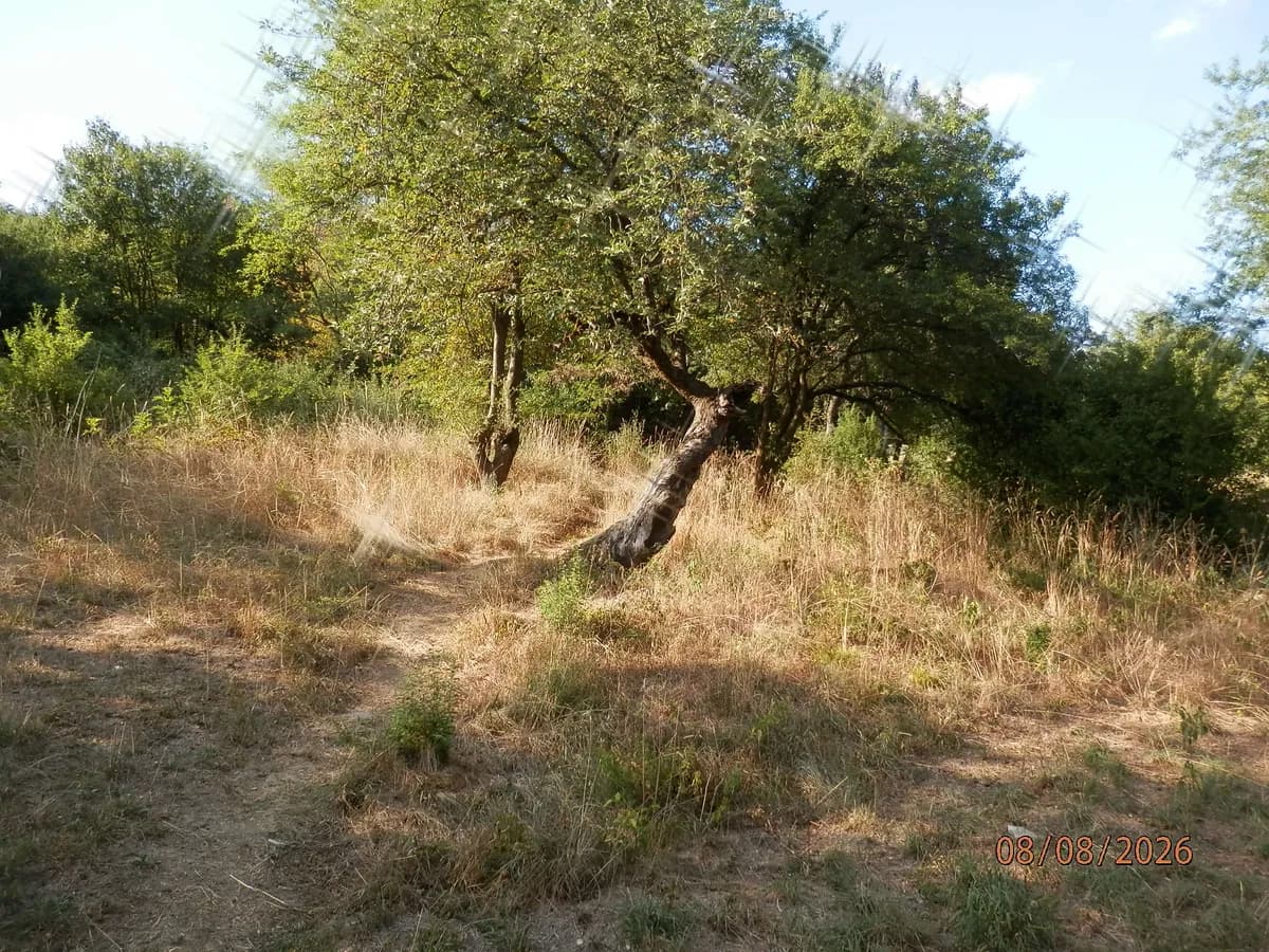 Immobilie mieten in Wien – 25 m², € 350 – Bild 14 von 14