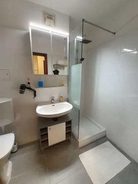 1-Zimmer-Immobilie mieten in Wien – 42 m², € 1.050 – Bild 7 von 7