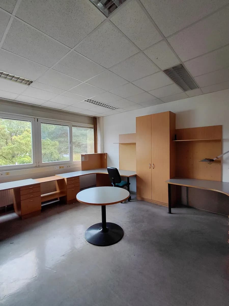 Gewerbeimmobilie mieten in Bruck-Mürzzuschlag – 2 271 m², € 13.350 – Bild 13 von 14
