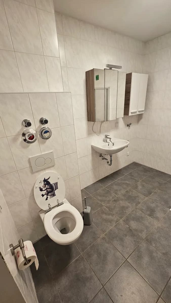1-Zimmer-Wohnung mieten in Oberpullendorf – 52 m², € 459 – Bild 3 von 10